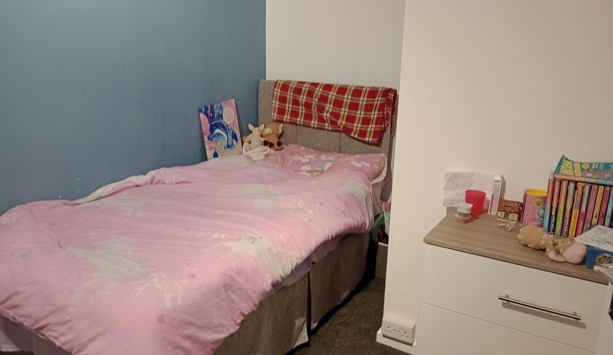 WhatsApp Image 2026-02-16 at 18.26.45